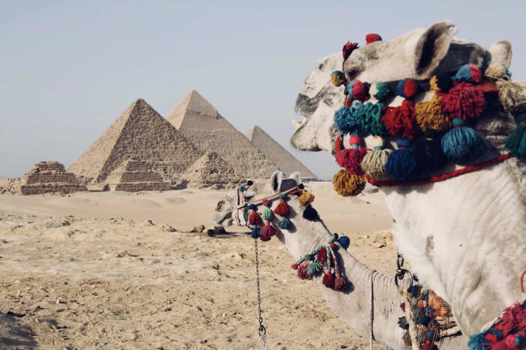 The best way to see Egypt's top ancient attractions.