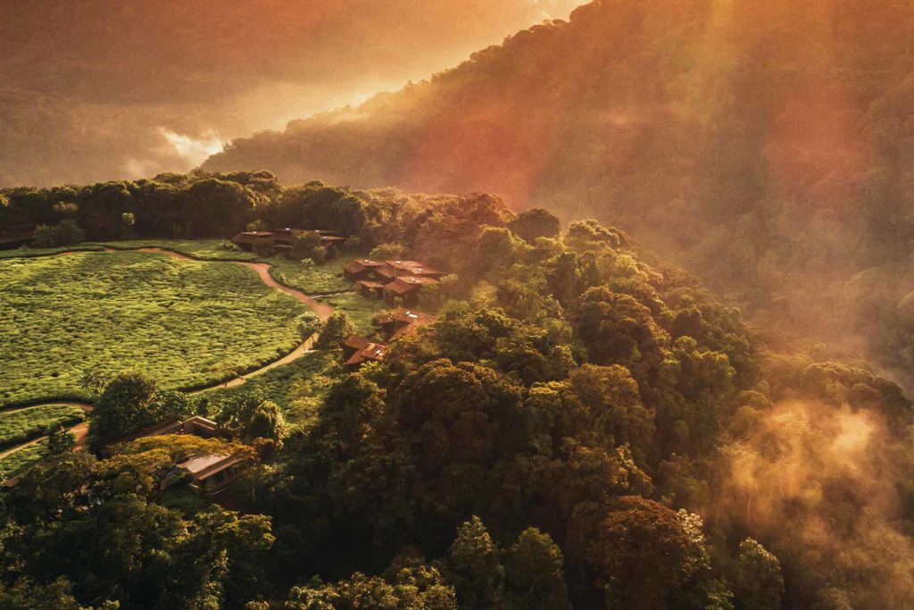 A luxurious haven surrounded by chimpanzees, One & Only is bringing high-end tourism to a new part of the country.