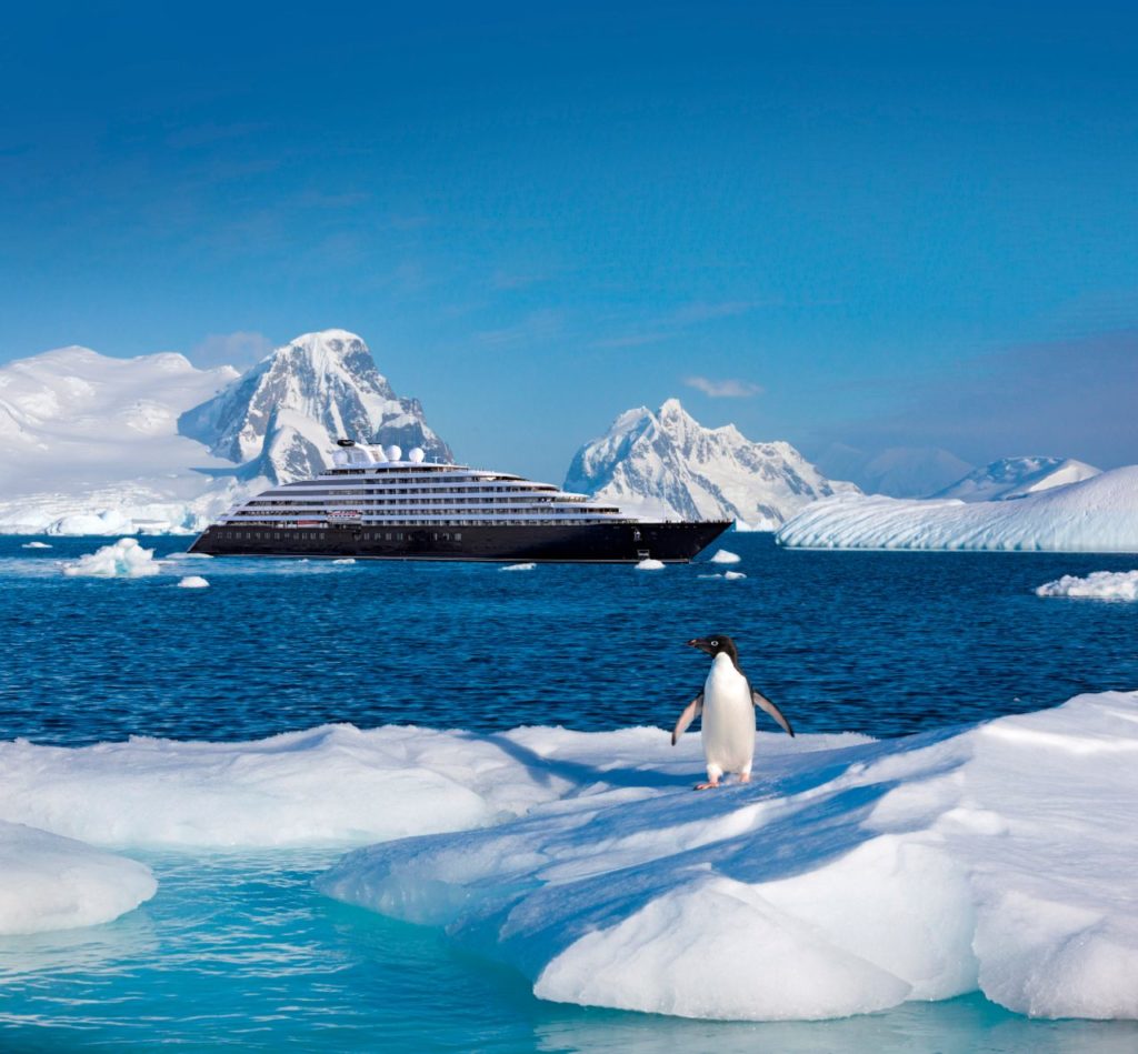 cruises-scenic-eclipse-antarctica-cruising-food-luxury-travel-ute-junker