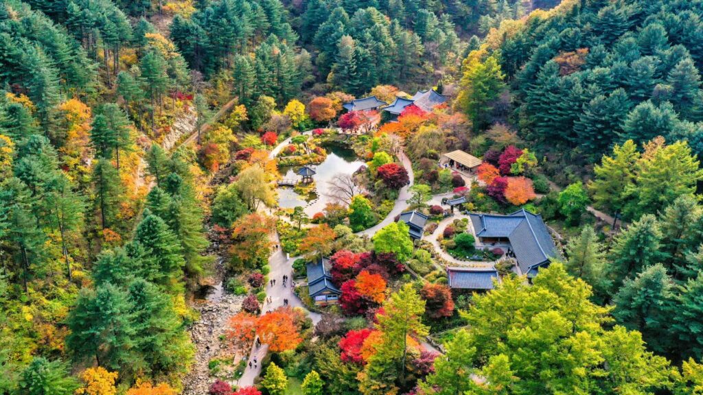 Join Ute Junker this November on an 11-day tour through South Korea’s remarkable gardens, serene temple landscapes, woodland parks & ornate palaces.